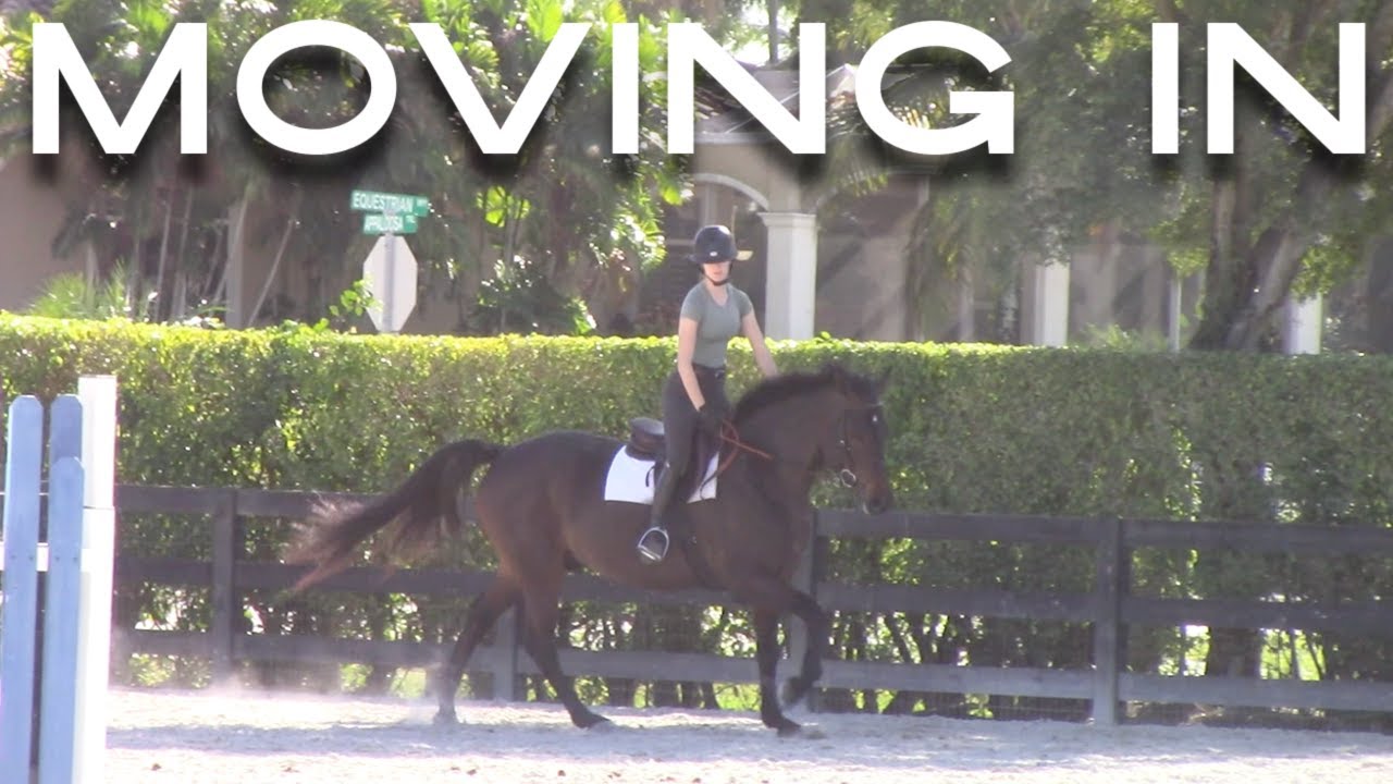 moving to WEF for 3 months! | Eleese S