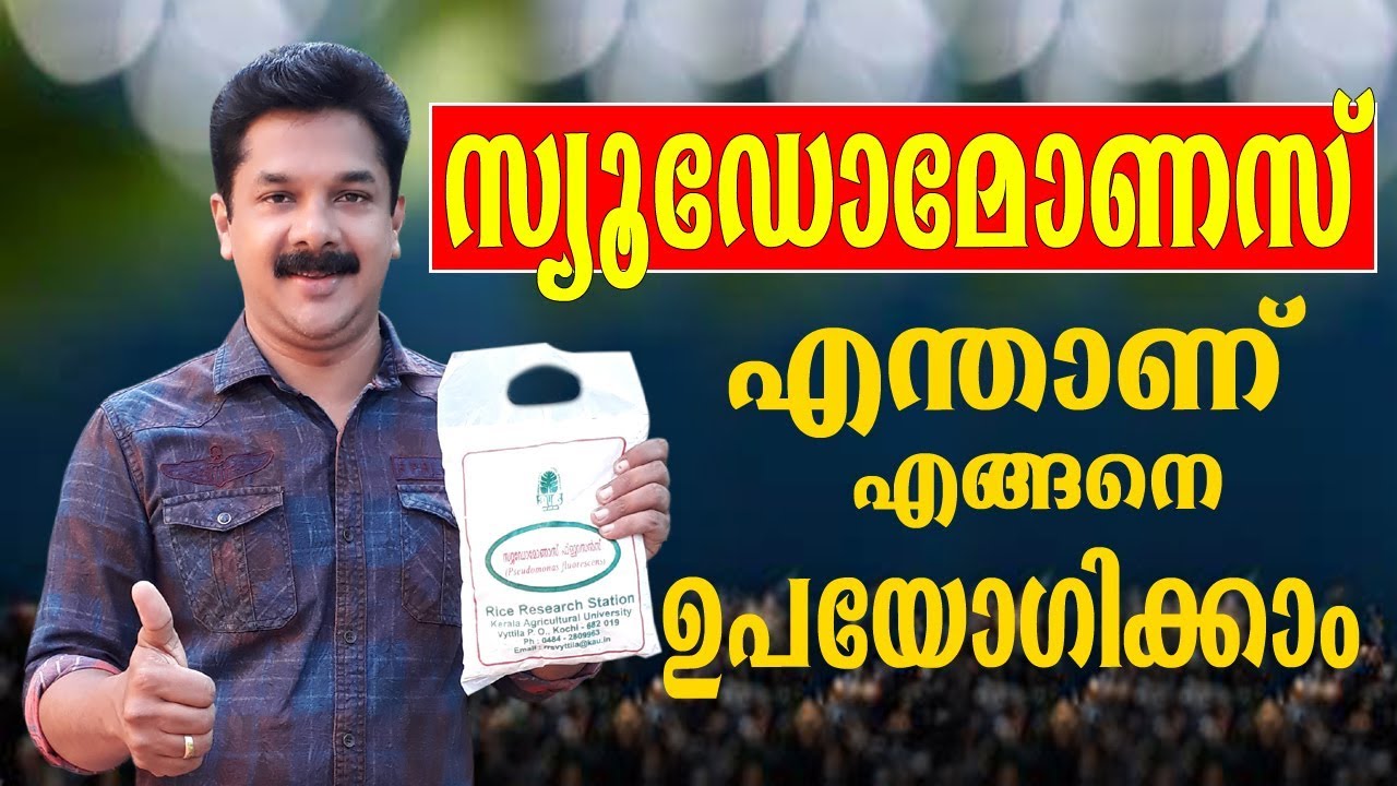 Pseudomonas | സ്യുഡോമോണസ്