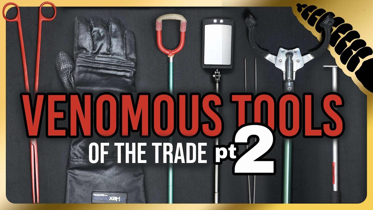 Venomous Tools Part 2: Tubes, Gloves, Shields, Etc
