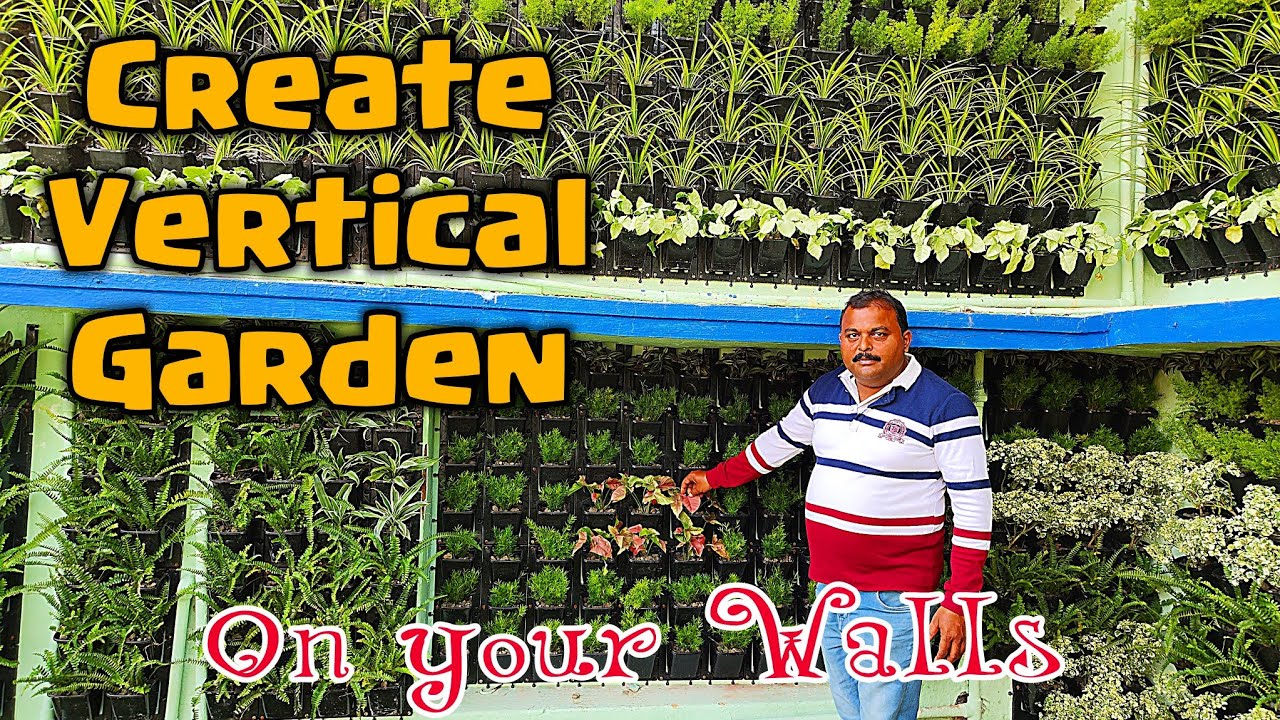 How to Erect Vertical Garden on Your Walls