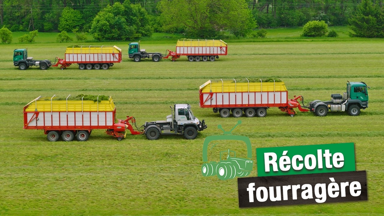 Comment le fourrage est séché | Séchage du fourrage | Edelgrün | Camion agricole MAN et Unimog U500