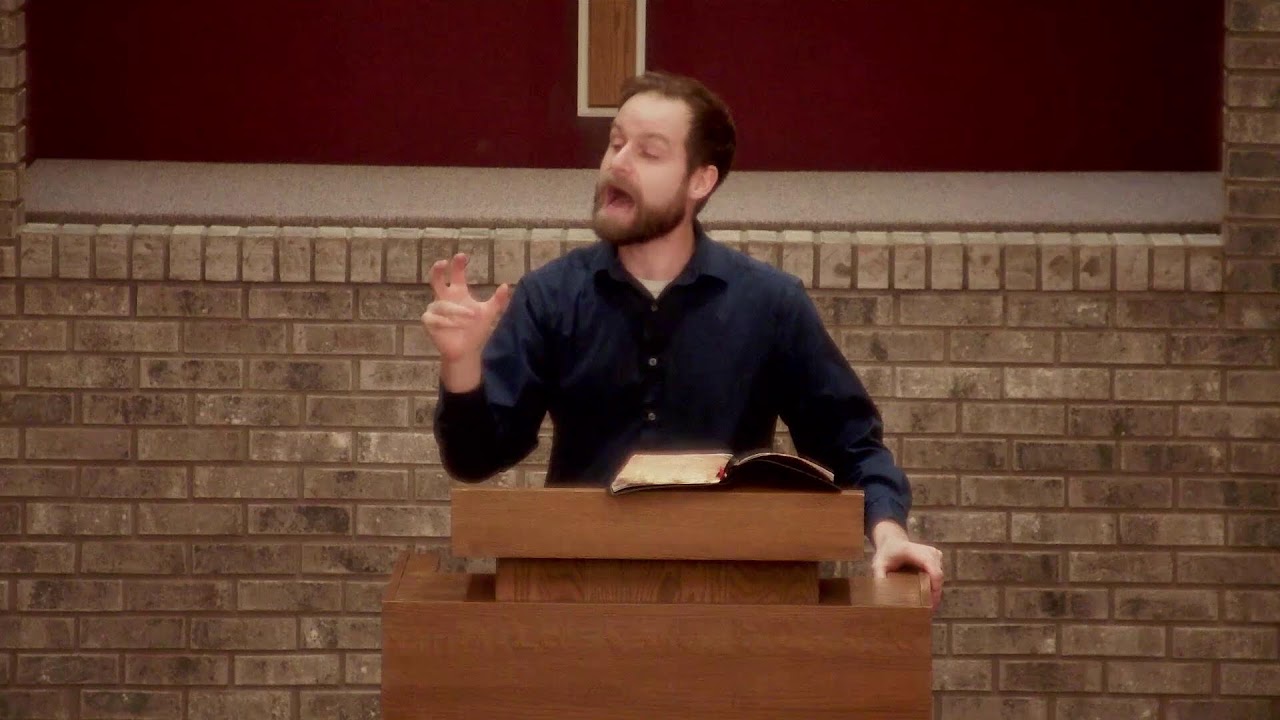 The Swarms of Living Creatures, Genesis 1:20-23, 2/22/26