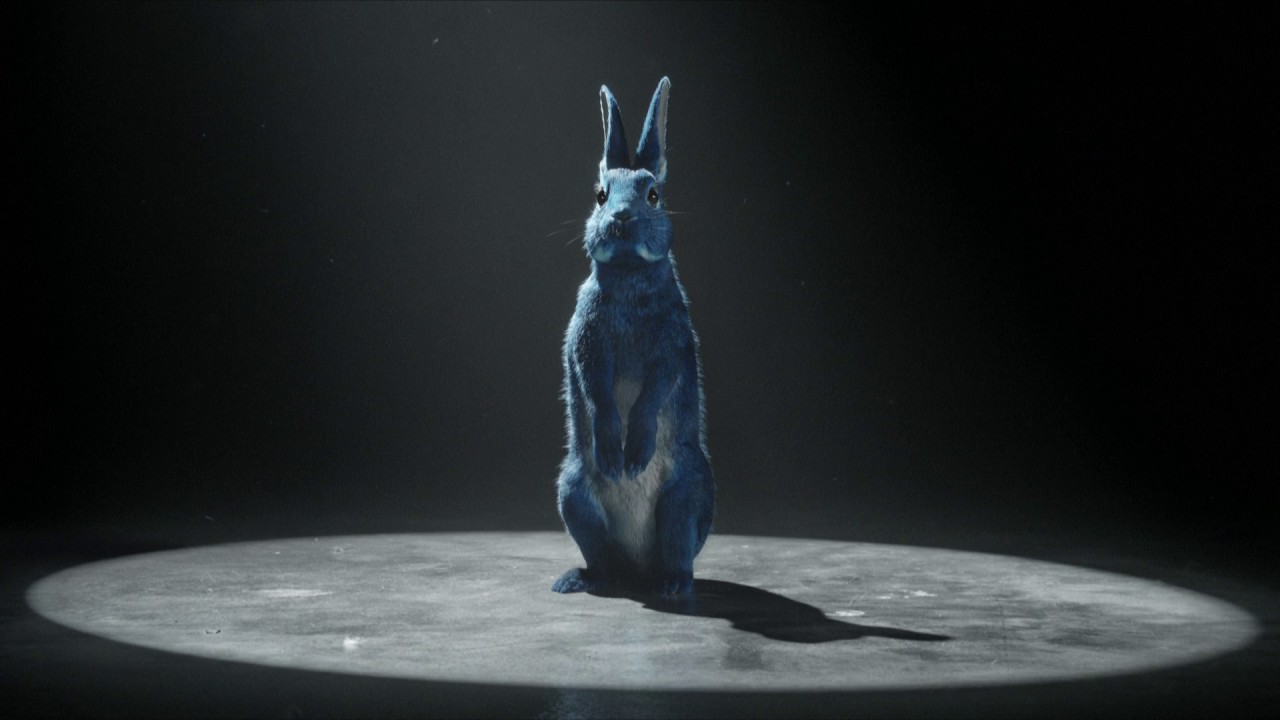 O2 - Follow the Rabbit