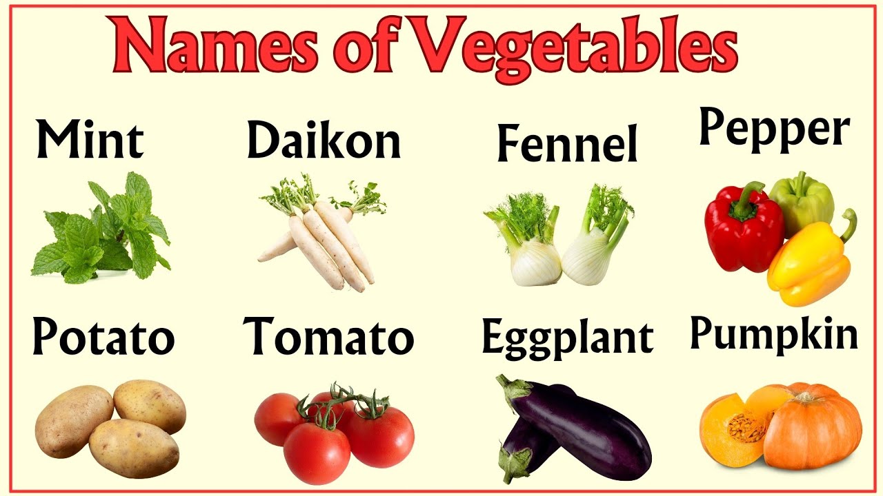 Lesson 14:  All VEGETABLES Vocabulary :Pictionary  | Learn English easily #englishvocabulary
