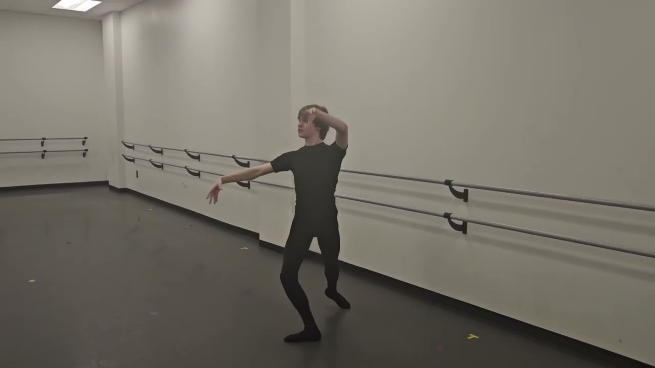Mikhail Lieberman (Audition)