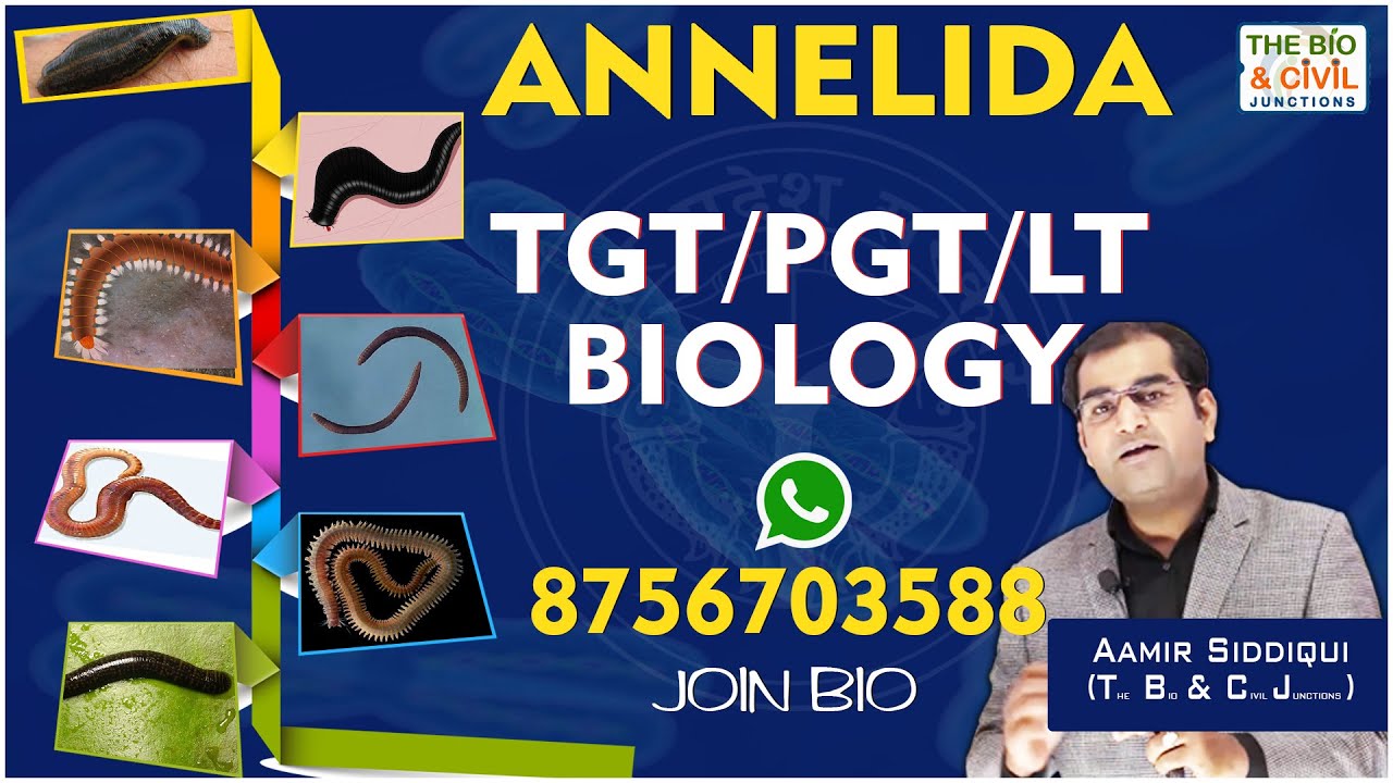 TGT/PGT - LT BIOLOGY || NON-CHORDATES (PAID CLASS-32) || Aamir Siddiqui || THE BIO & CIVIL JUNCTIONS