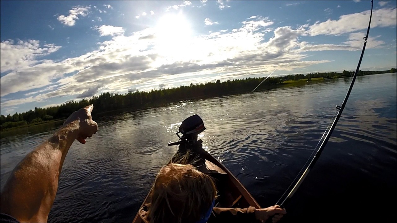 Unelmana kymppikerhon lohi, lohi Salmon 11,9 kg, Pello, Tornionjoki 2017
