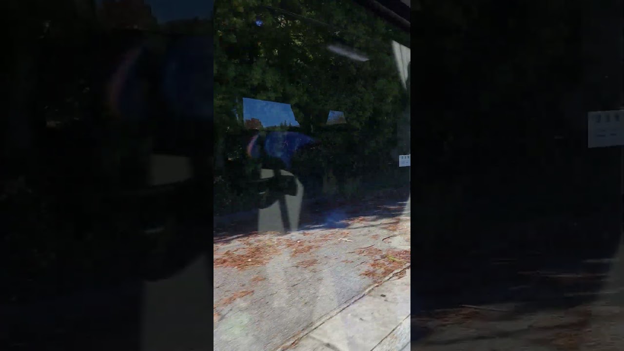 BEST JAPAN BUS RIDE EXPERIENCE 