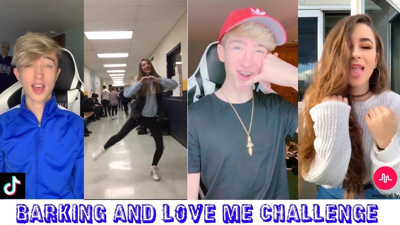 Top 10 Tiktok Musically Challenges || Barking and Love Me ||