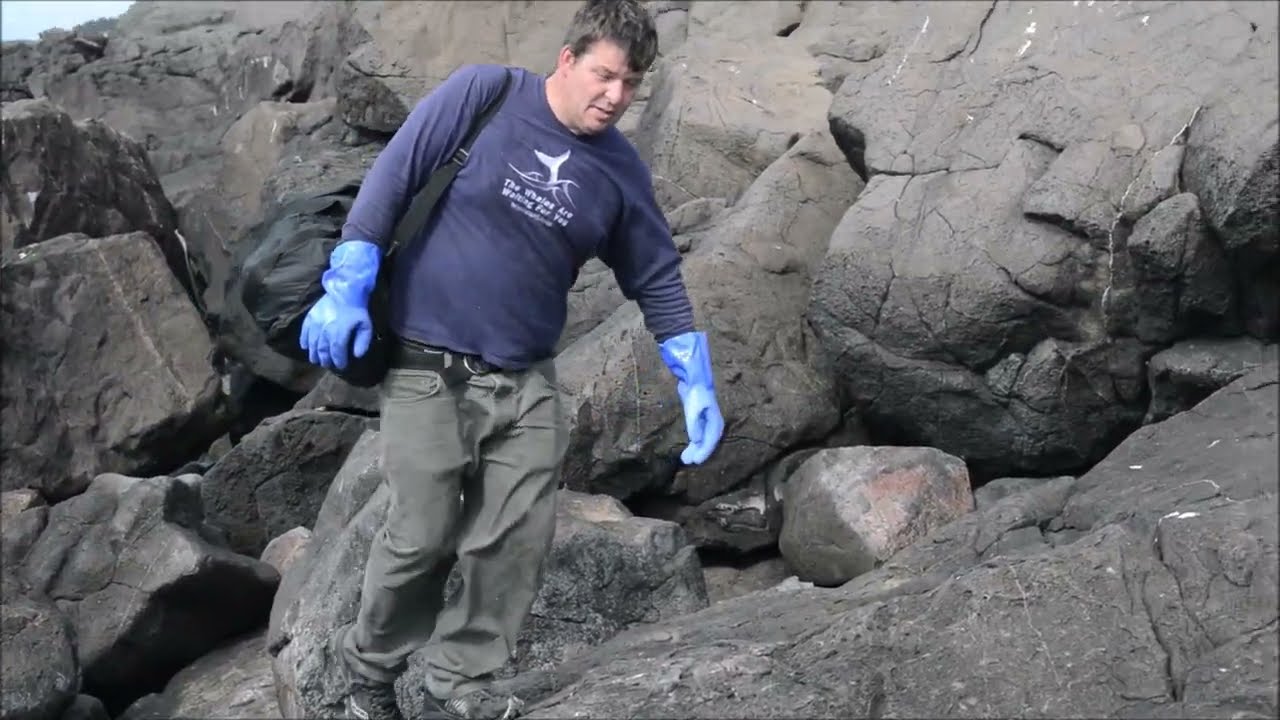 Whale Bone Hunter