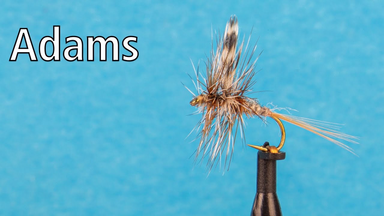 Adams