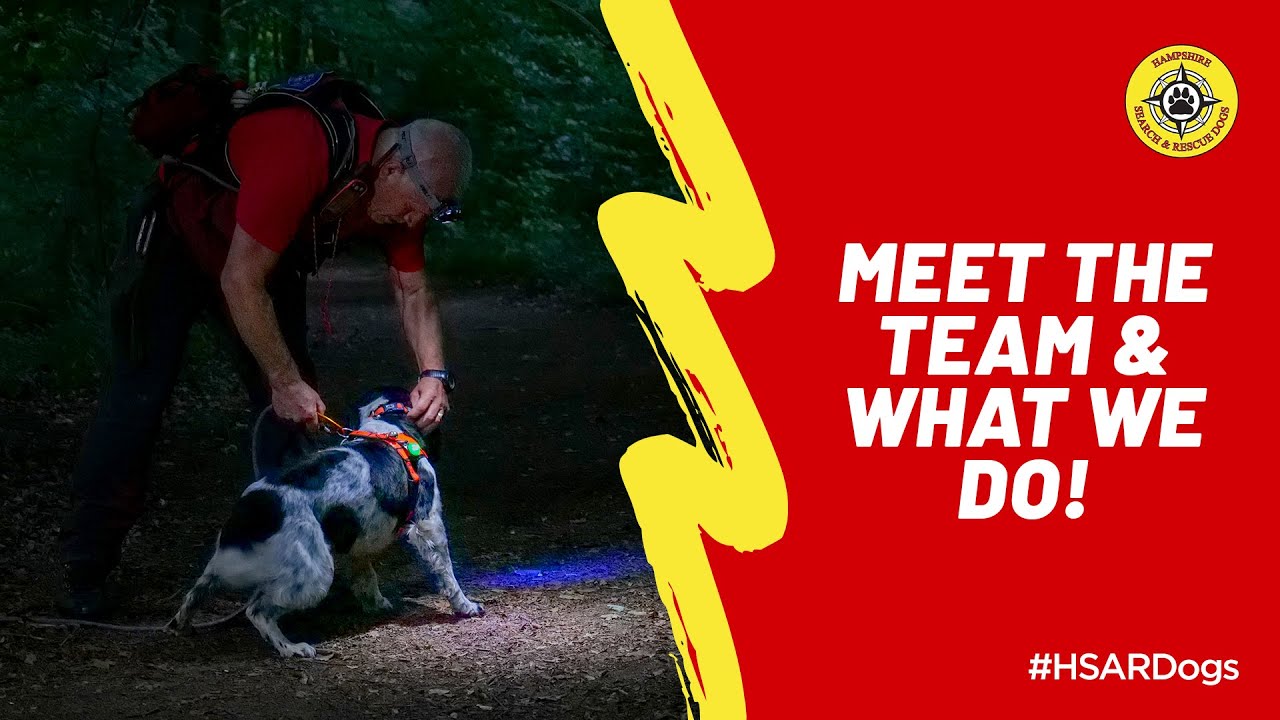 Meet the team & What we do | Hampshire Search & Rescue Dogs