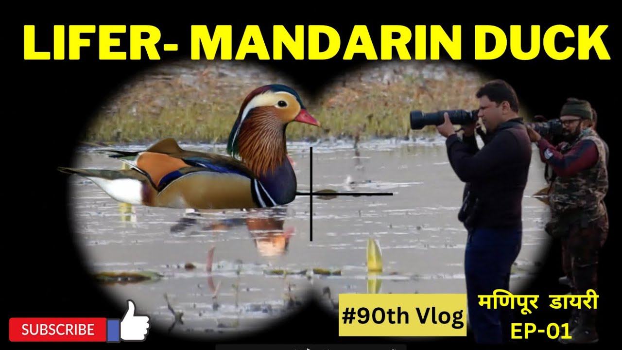 Manipur  Diary Ep-01 II Lifer - Mandarin Duck II 90th Vlog in Hindi by Sachin Main