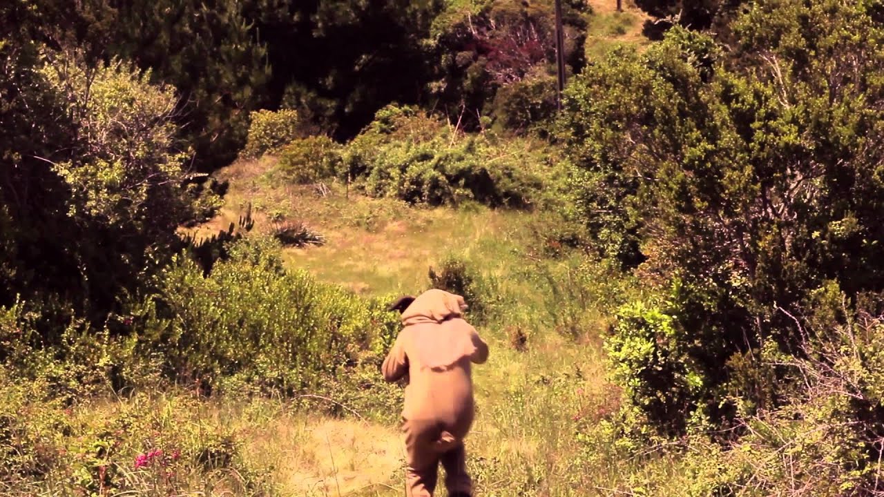 NI&Ntilde;O COHETE - LOS ALEMANES (VIDEO OFICIAL)