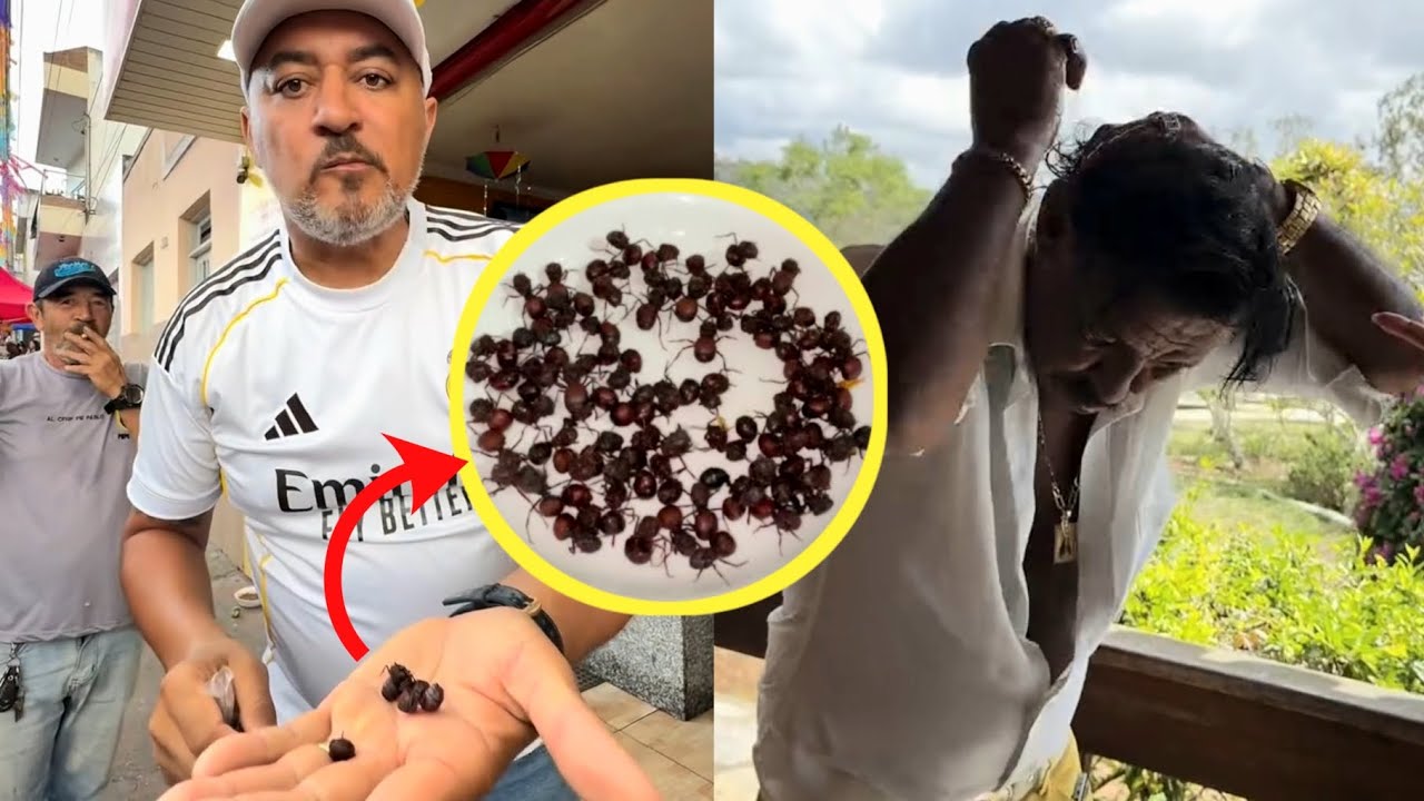 CHARLLES COMENDO FORMIGA🐜(TANAJURA) | CHARLLES E TIRINGA 