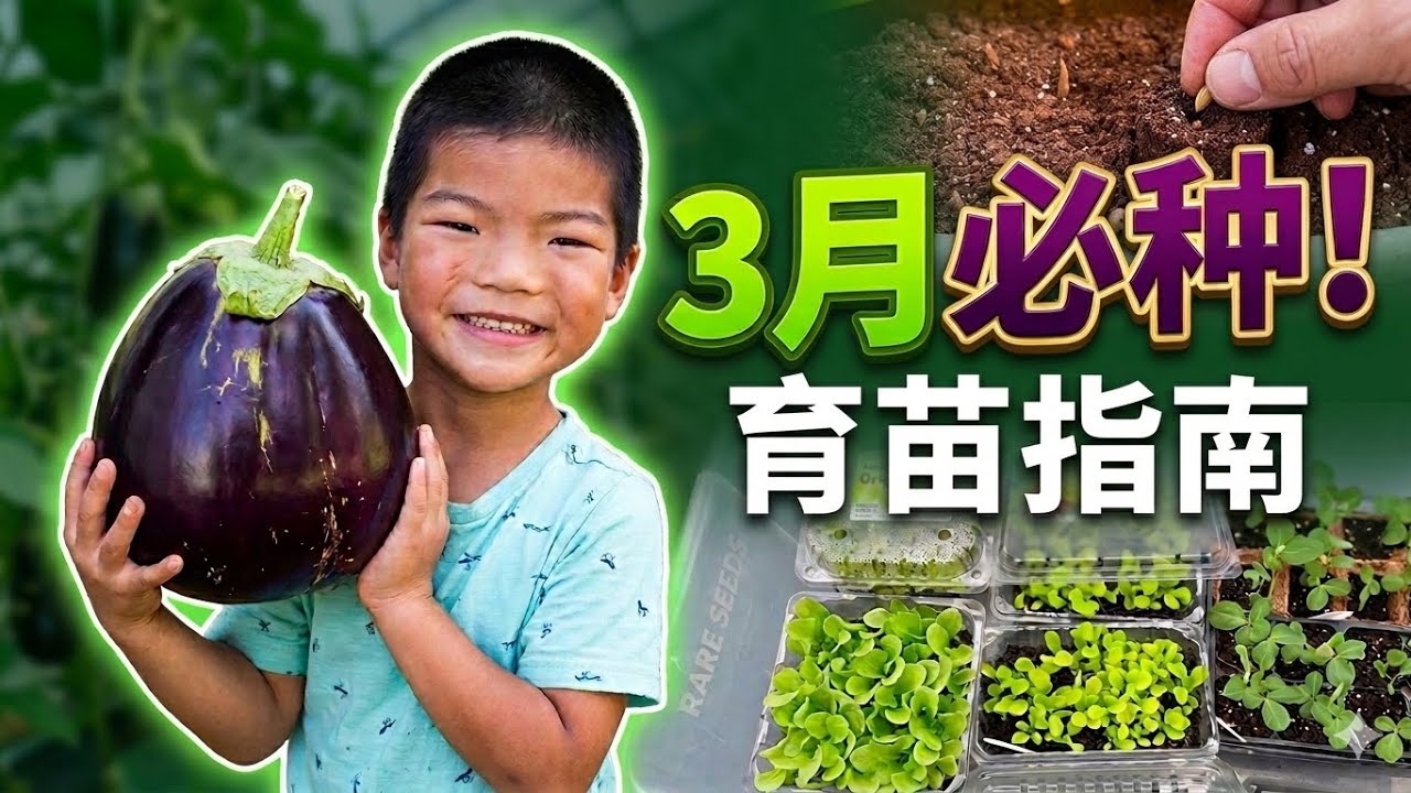 三月开始育苗了｜What to Start in March (Zone 6 Garden)