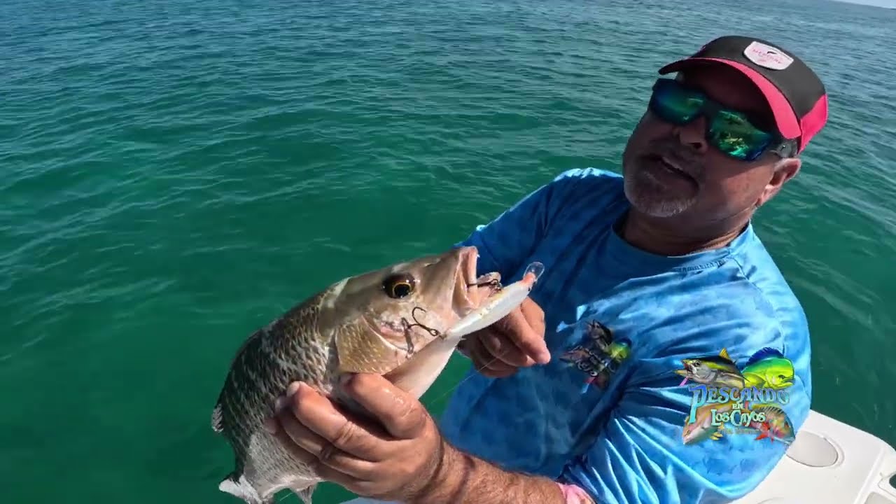 LA PESCA CON ARTIFICIALES