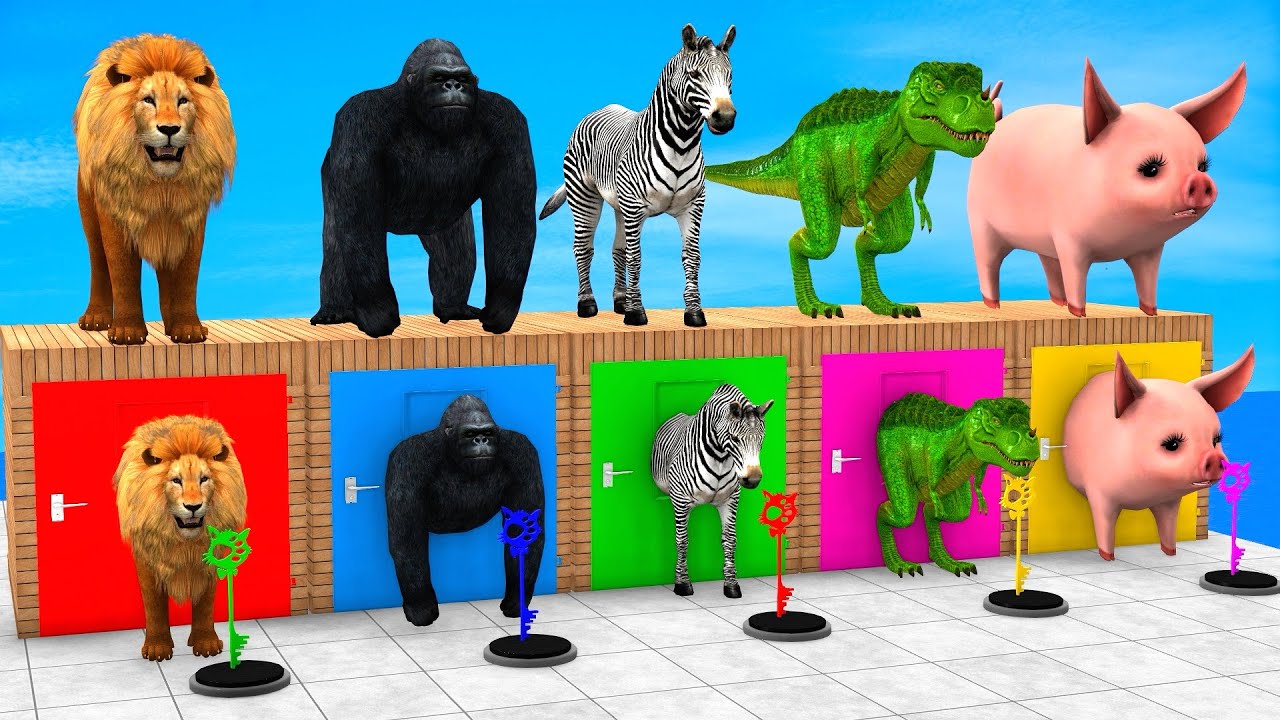 Long Slide Game With Elephant Gorilla Buffalo Hippopotamus Tiger 3d Animal Game Funny 3d Animals