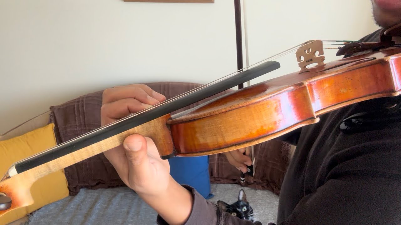 C major, one octave: all strings
