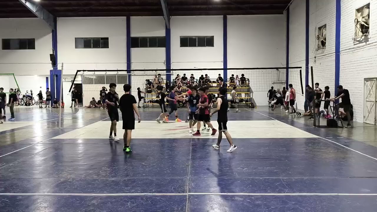 Poli A 🆚 Uane