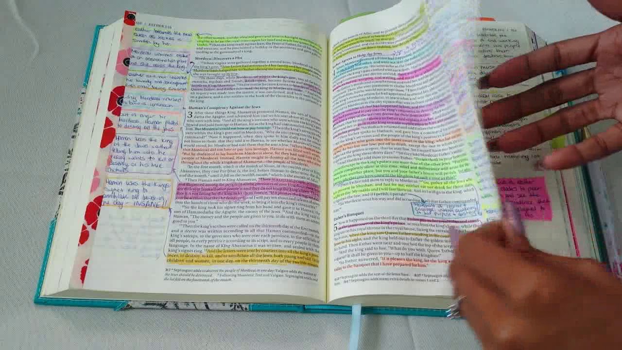 Bible Tour | Inside My Journaling Bible