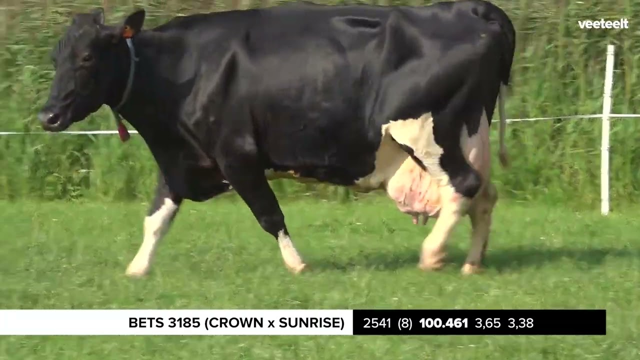 9x100.000 kg bij fam. Laan