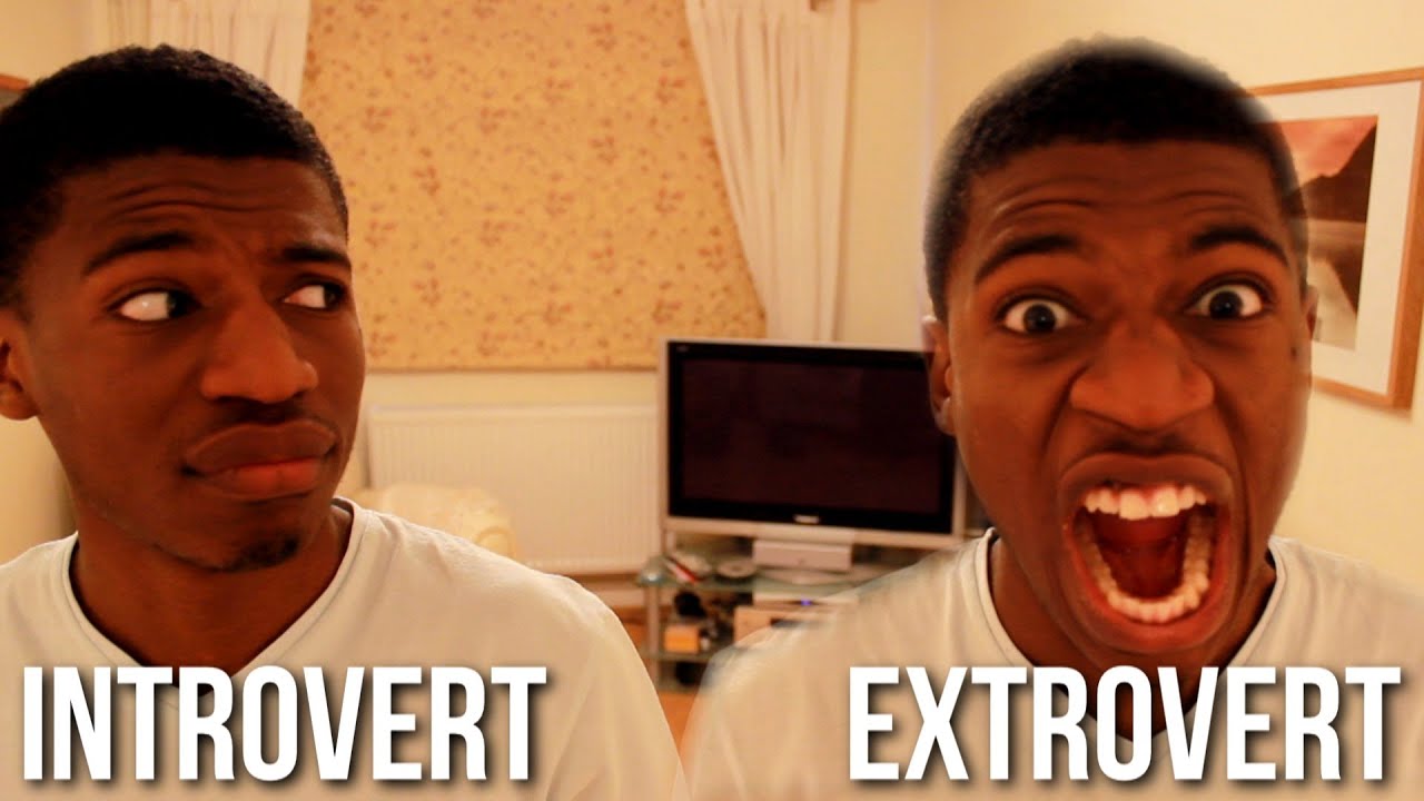 SIGNS YOU MIGHT BE AN INTROVERT