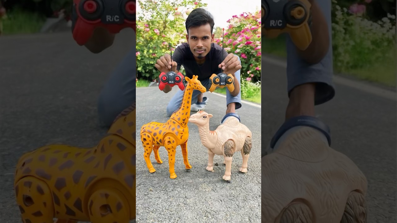 Duita RC Remote Wala Camel and Giraffe🦒unboxing🔥😛