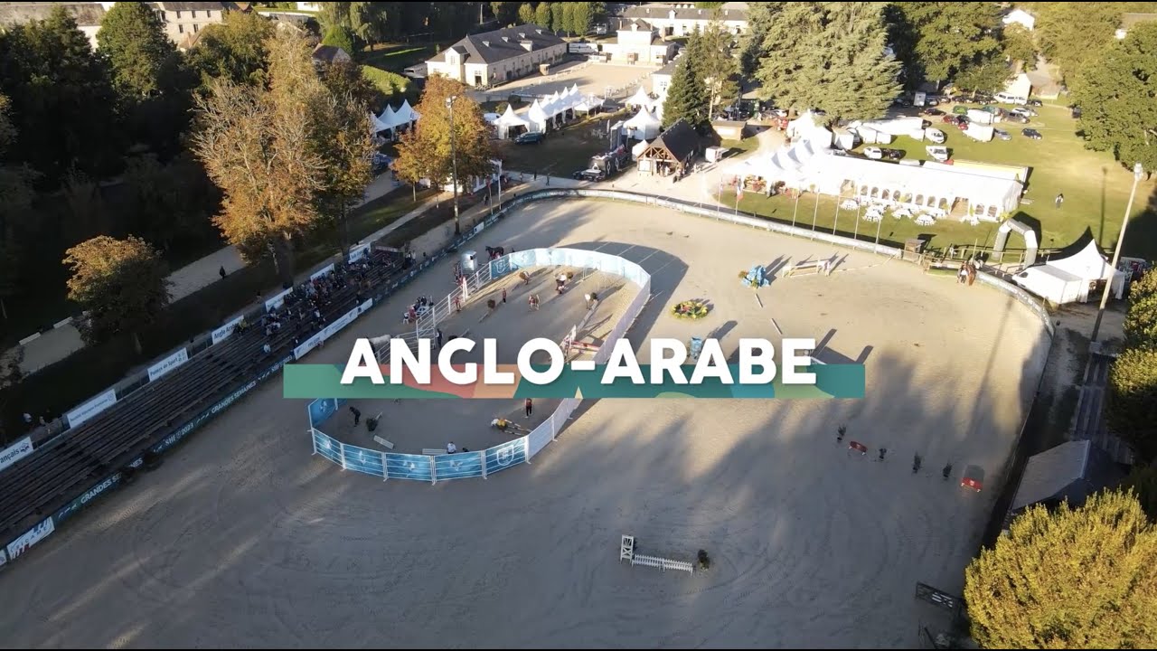 Pompadour CCE 2023 J3 - Anglo-Arabe