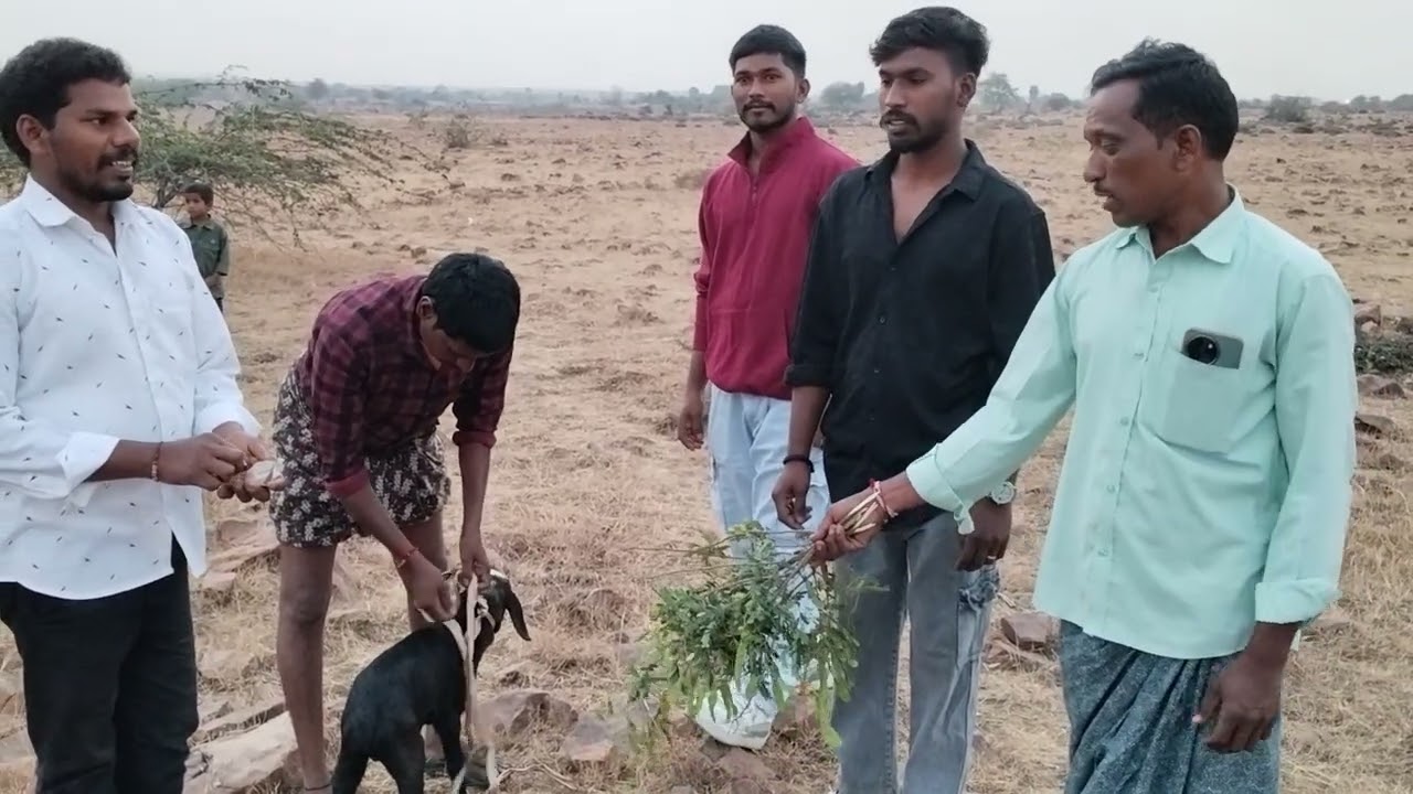 Sri. Ambasahitha yaganteeswaraswamy paaruveta ustavam at N. Konthalapadu village dt. 27.02.2026