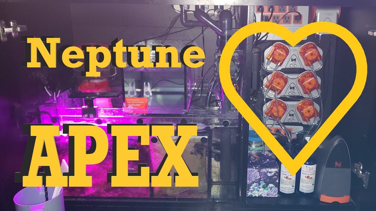 How to - Neptune Apex (Part1)