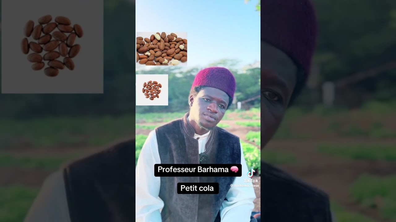 Les bienfaits du petit Cola