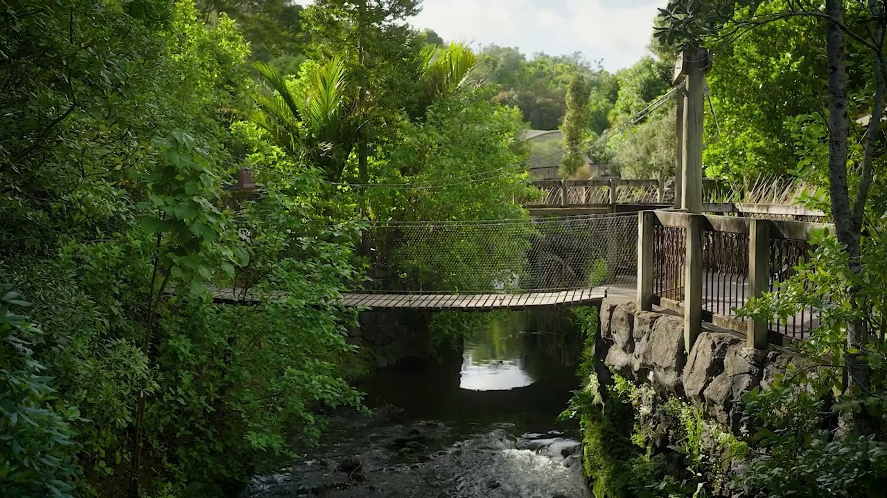 ASMR | Bridge over a natural lake