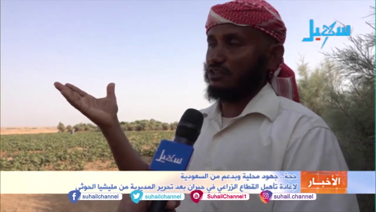 حجة.. جهود محلية وبدعم من السعودية لإعادة تأهيل القطاع الزراعي في حيران