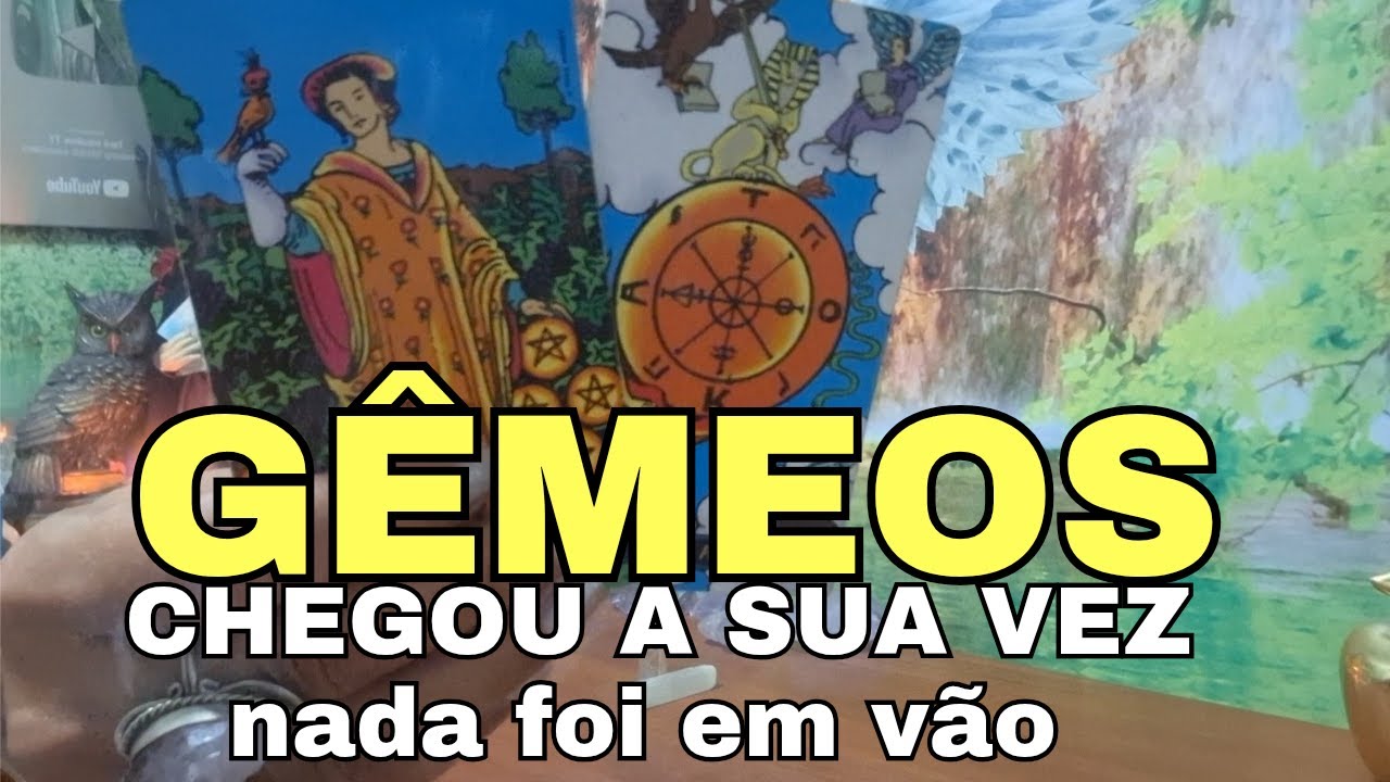GÊMEOS ♊️A RODA GIROU. NADA FOI EM VÃO. CHEGOU A SUA VEZ