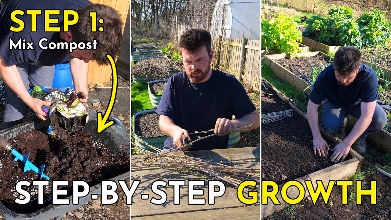 How We Turn Free Cuttings into £600 of Plants in One Afternoon