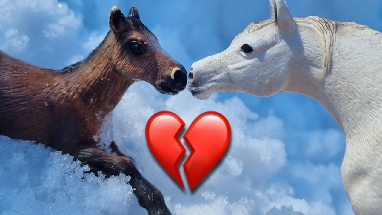 Die traurige Geschichte eines Fohlens, das nicht laufen kann💔Schleich Pferde Film