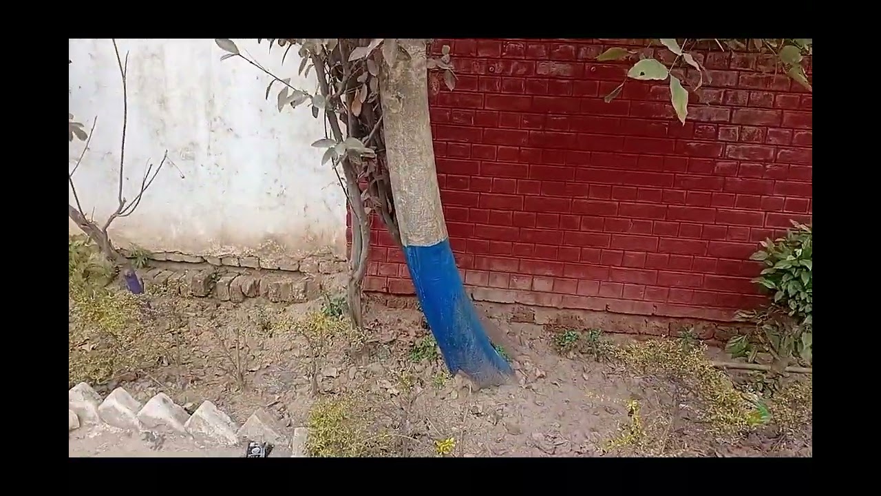 Funny vlog with me goiz# class funs1😜😜😜