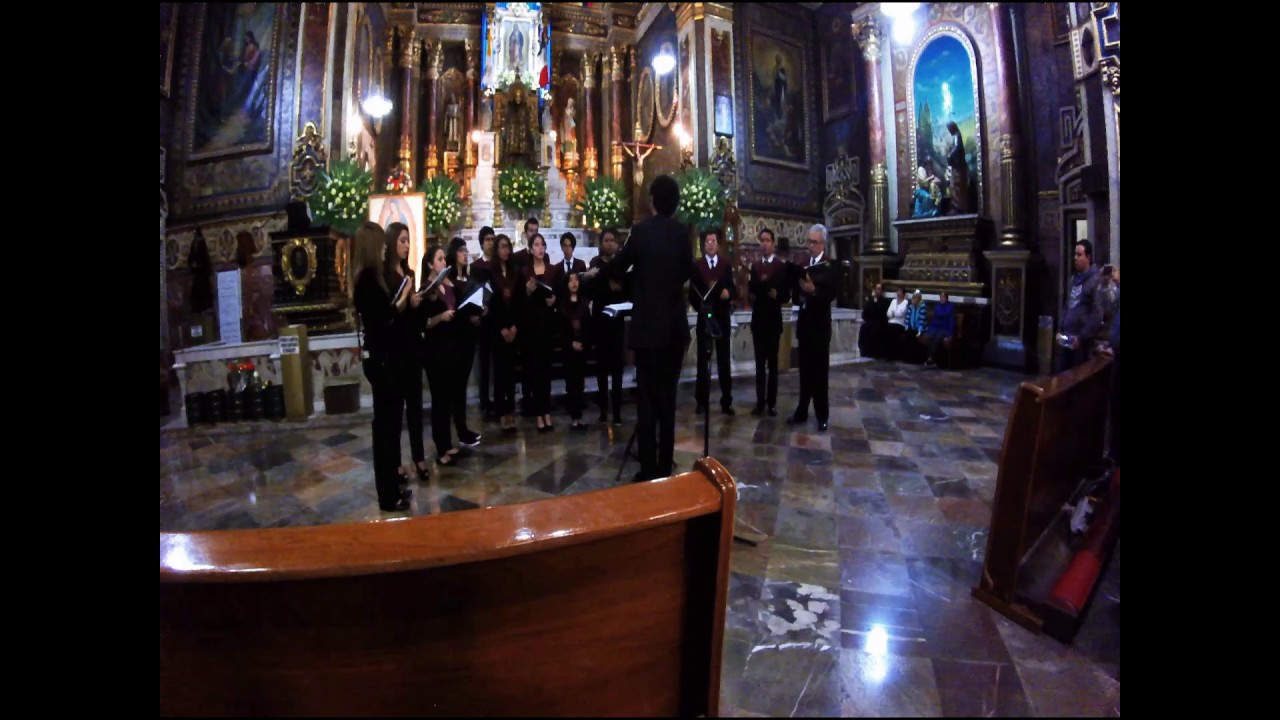 Himno Patriótico Guadalupano: Tiburcio Saucedo Garay