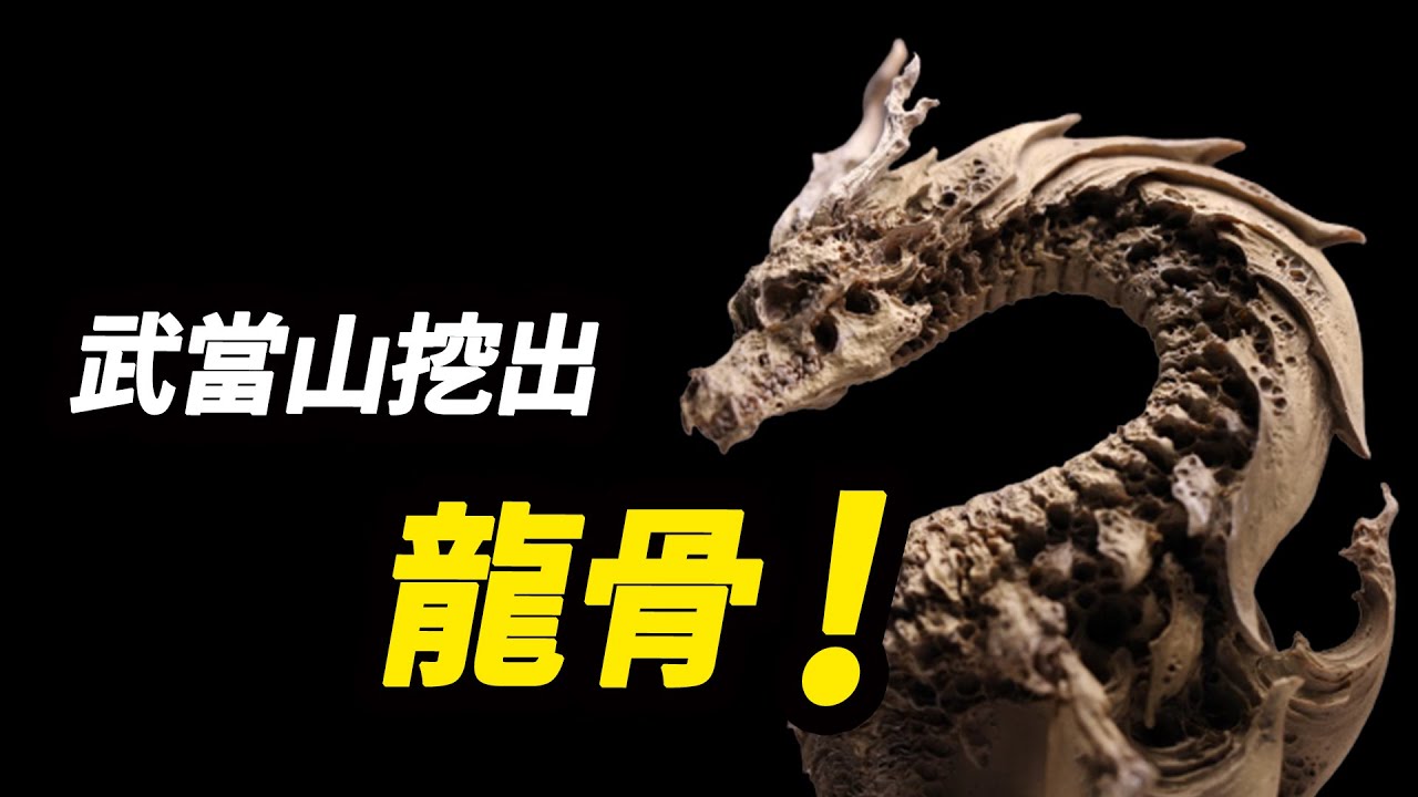 湖北武當山挖出&ldquo;龍骨&rdquo;，旁邊還盤踞著巨蛇，它們究竟在守護什麼?