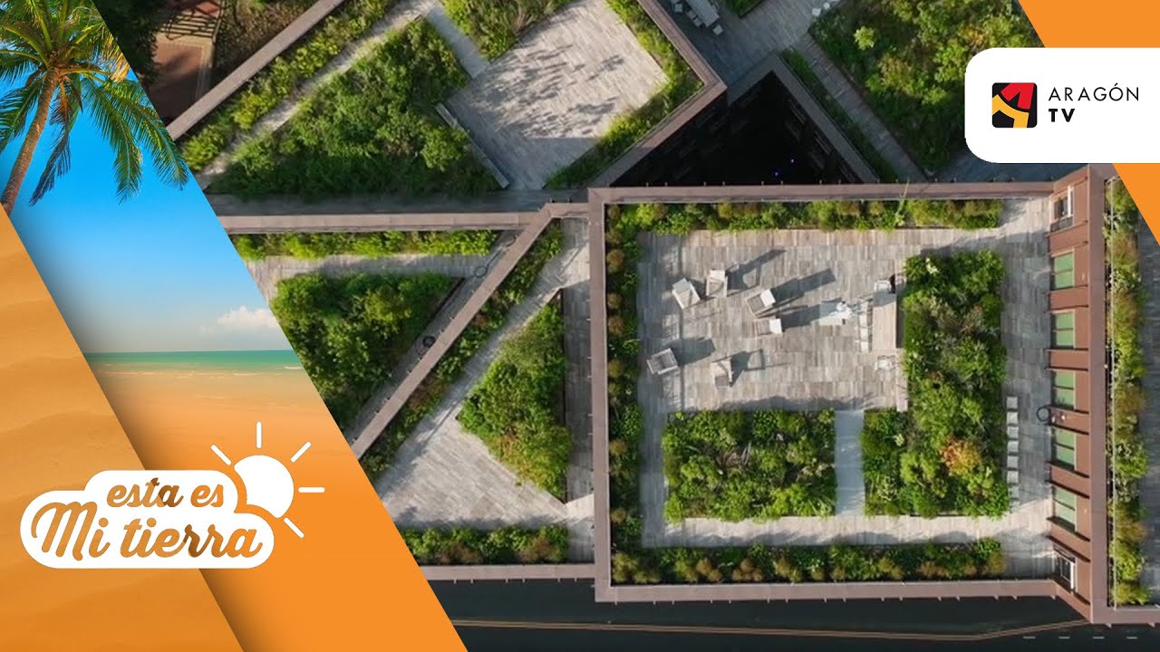 Cubiertas vegetales para los edificios