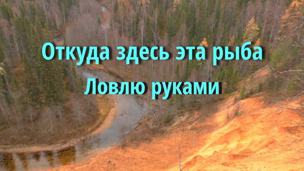 Один на реке.Рыбалка на хариуса ,поиск. Таежная речка.Ночевка в лесу. Рыбалка 2021.