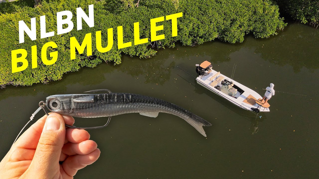 Surrounded by River Monsters so I Pulled out my Big Mullet