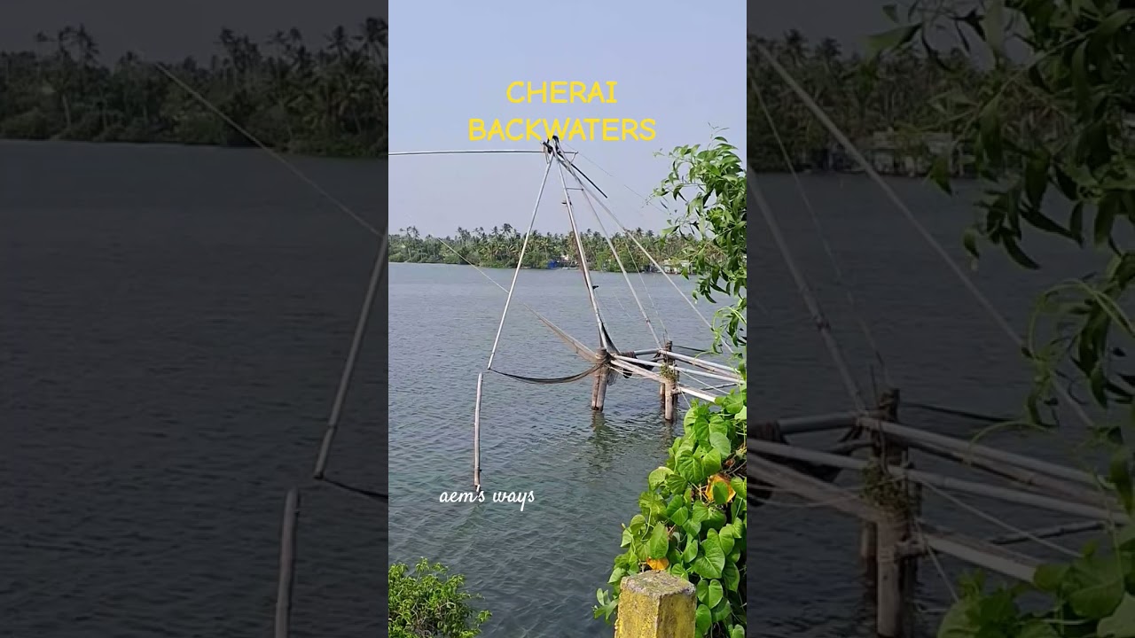 CHERAI BACKWATERS / SHORT  / TRAVEL VIDEO  /#cherai #travel #nature #touristspot #kerala