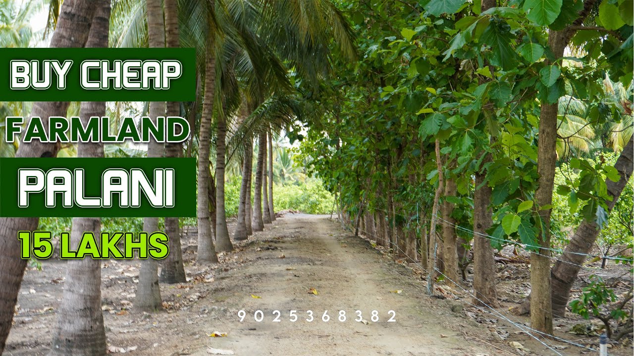 Very Lowest price in the market foothills farmland sale in Palani | 6 Acres