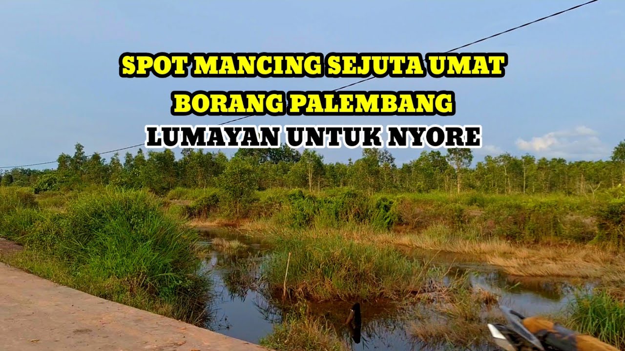 Spot casting || betok sejuta umat borang palembang