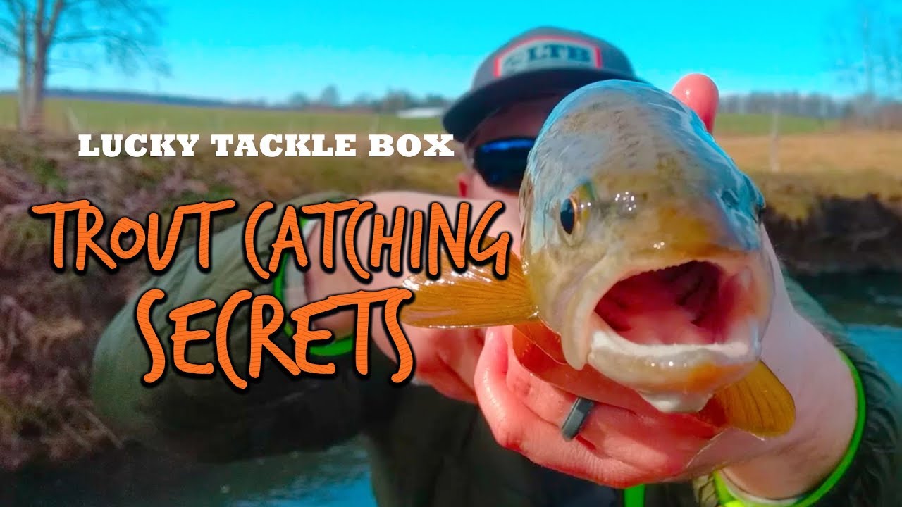 Secrets to Catching More Trout