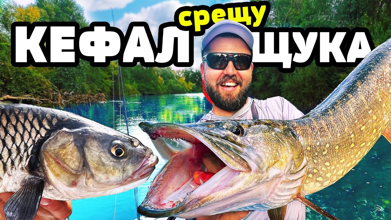 КЕФАЛ срещу ЩУКА по 6кг. в кристална река недокосвана от човека!