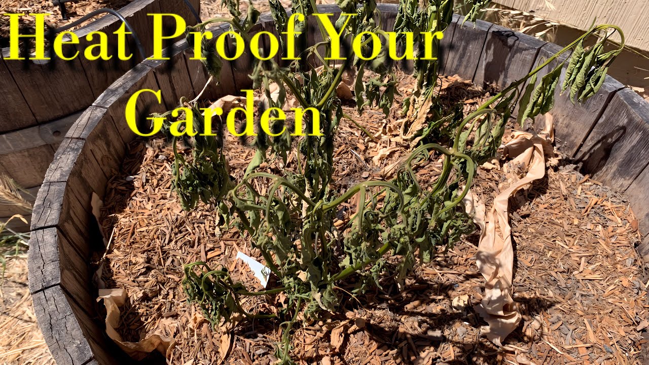 6 Tips for Building a Drought and Heat Proof Vegetable Garden