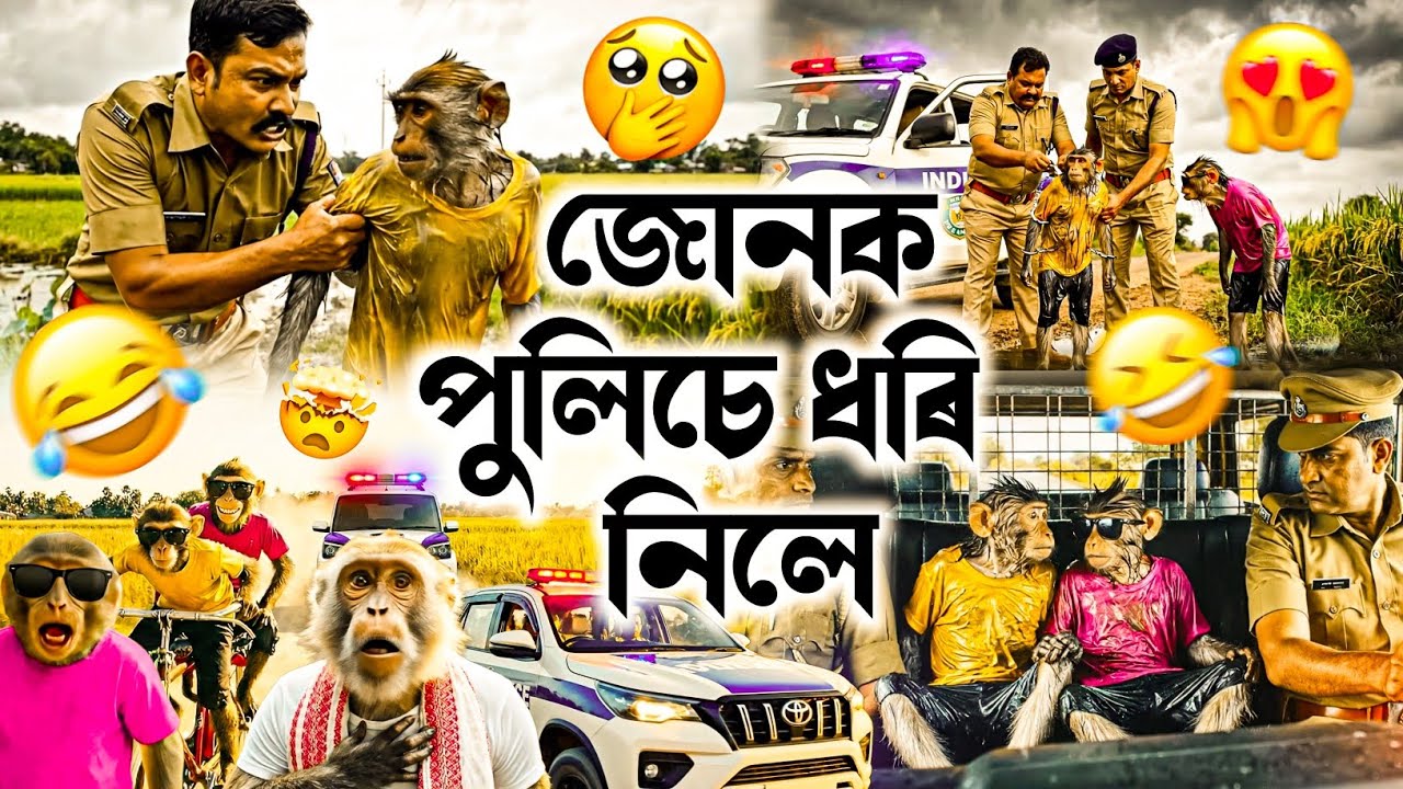 জোনক পুলিচে ধৰি নিলে 🥹🤣| Assamese Monkey Vlogger | Deka Bandor | #vlog #comedy #funny 
